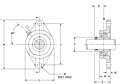 Mounted Bearings 2-bolt flanged set screw YCJT Indust SS G